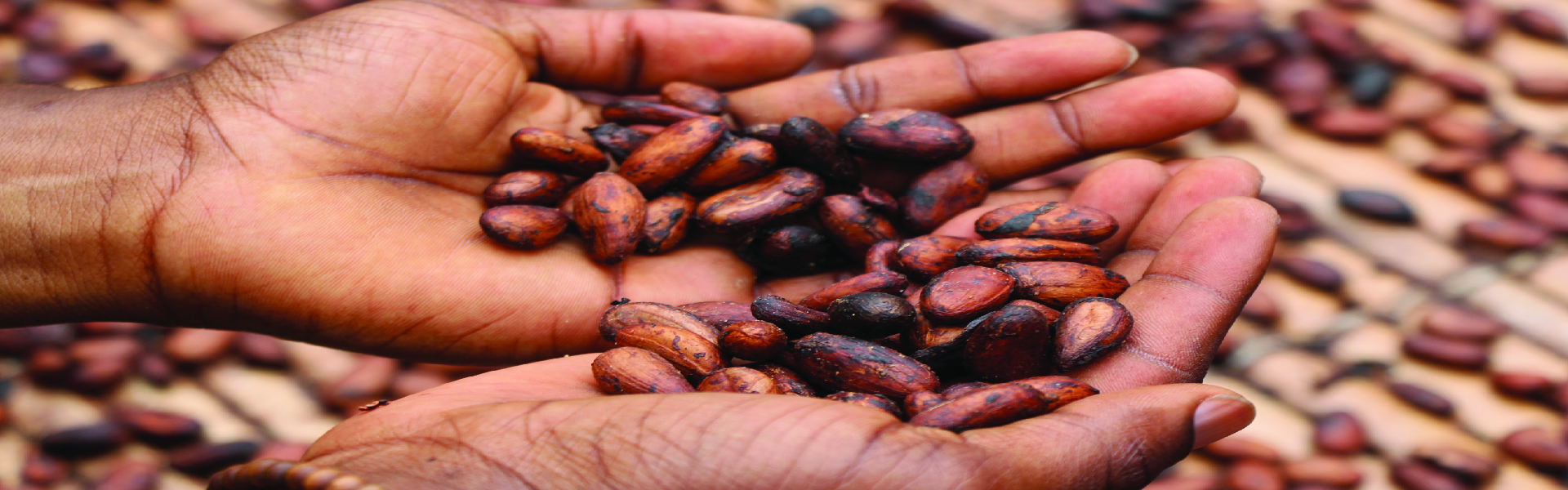 Eco Tourism Across Ghana